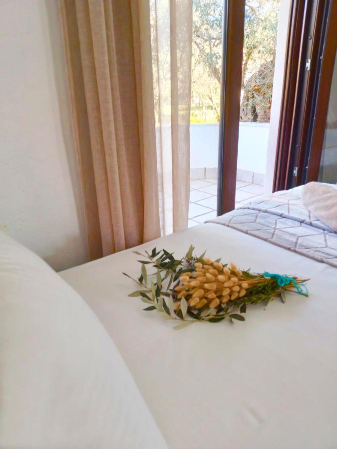 Villa Calypso Skala Rachoni  Extérieur photo